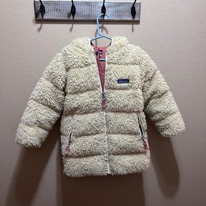 Patagonia Winter Jacket